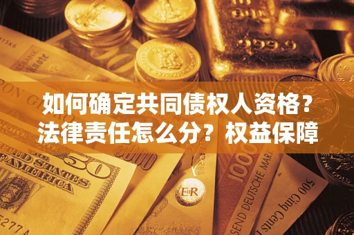 北京如何确定共同债权人资格？法律责任怎么分？权益保障技巧揭秘！