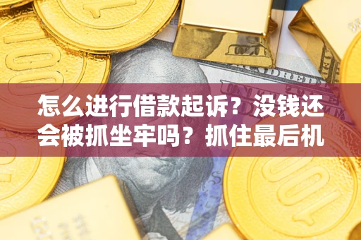 北京怎么进行借款起诉？没钱还会被抓坐牢吗？抓住最后机会！