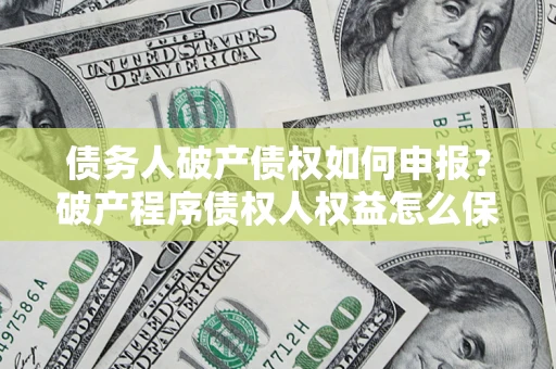 北京债务人破产债权如何申报？破产程序债权人权益怎么保障？