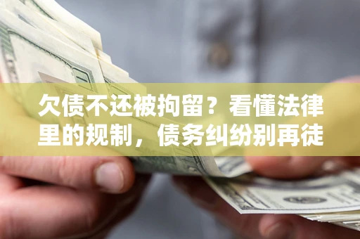 北京欠债不还被拘留？看懂法律里的规制，债务纠纷别再徒劳奔波