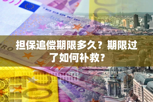 北京担保追偿期限多久？期限过了如何补救？