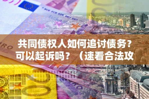 北京共同债权人如何追讨债务？可以起诉吗？（速看合法攻略）