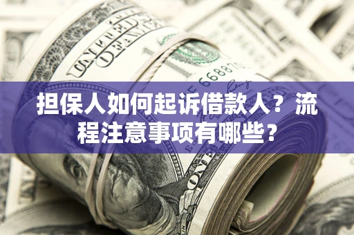 北京担保人如何起诉借款人？流程注意事项有哪些？